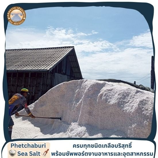 ผลิตและขายส่งเกลือทะเลแท้ ราคาถูก - เกลือทะเลเพชรบุรี