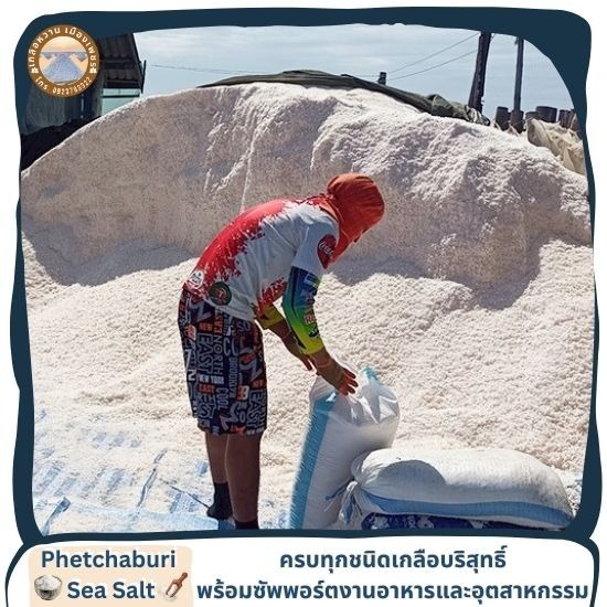 จำหน่ายเกลือทะเลแท้ คุณภาพสูง ราคาส่ง - เกลือทะเลเพชรบุรี