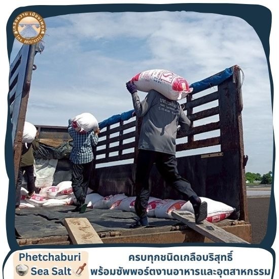 ขายส่งเกลือทะเลยกกระสอบ ราคาถูก - เกลือทะเลเพชรบุรี