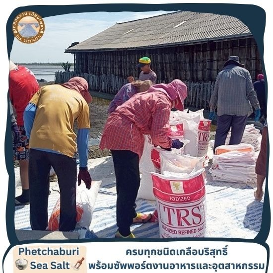 ขายส่งเกลือแท้คุณภาพสูง นาเกลือเพชรบุรี - เกลือทะเลเพชรบุรี