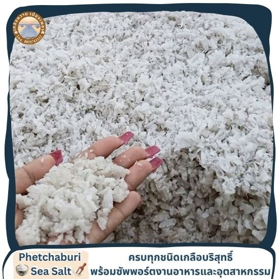 ดอกเกลือแท้ราคาส่ง มีเก็บเงินปลายทาง - เกลือทะเลเพชรบุรี