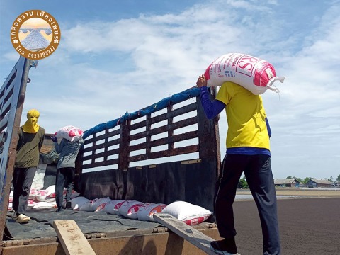 ขายส่งเกลือทะเลแท้จากเพชรบุรี 