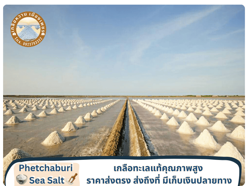 ขายส่งเกลือแท้จากเพชรบุรี