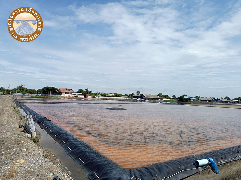 ขายส่งเกลือนาผ้ายาง